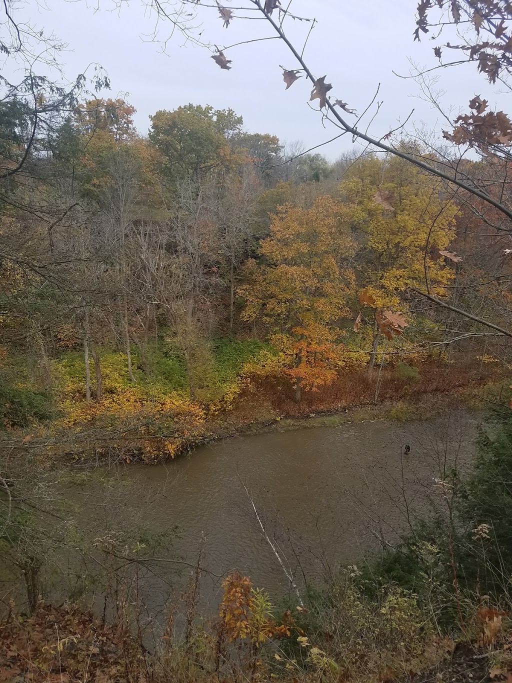 18 Mile Creek Park | 2600-2772 S Creek Rd, Hamburg, NY 14075, USA