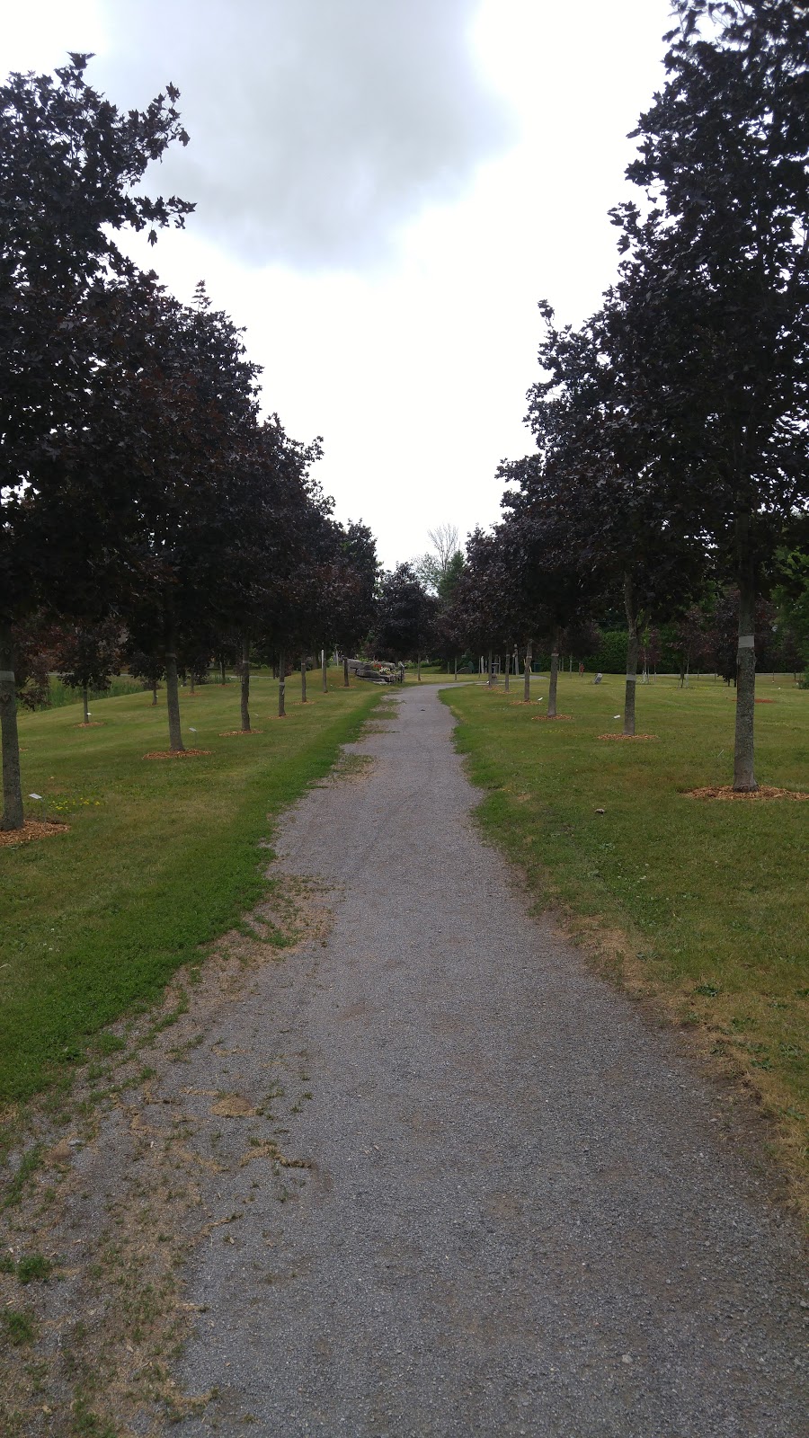 Veterans Walkway / Cenotaph | 3131 Old Perth Rd, Almonte, ON K0A 1A0, Canada | Phone: (613) 256-2064