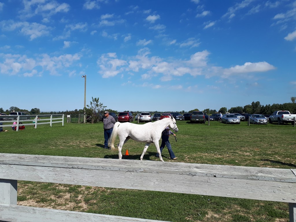 Wyoming Fair Grounds | 595 Main St, Wyoming, ON N0N 1T0, Canada | Phone: (519) 845-3291