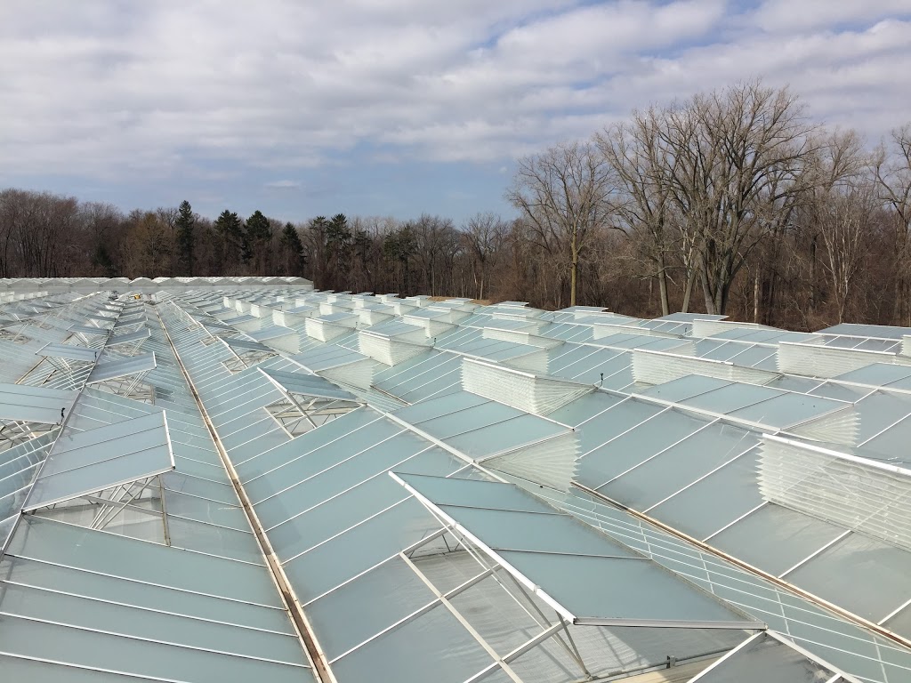 Ruthven Greenhouse Construction | 420 Essex Road 14, Leamington, ON N8H 3V8, Canada | Phone: (519) 326-8808