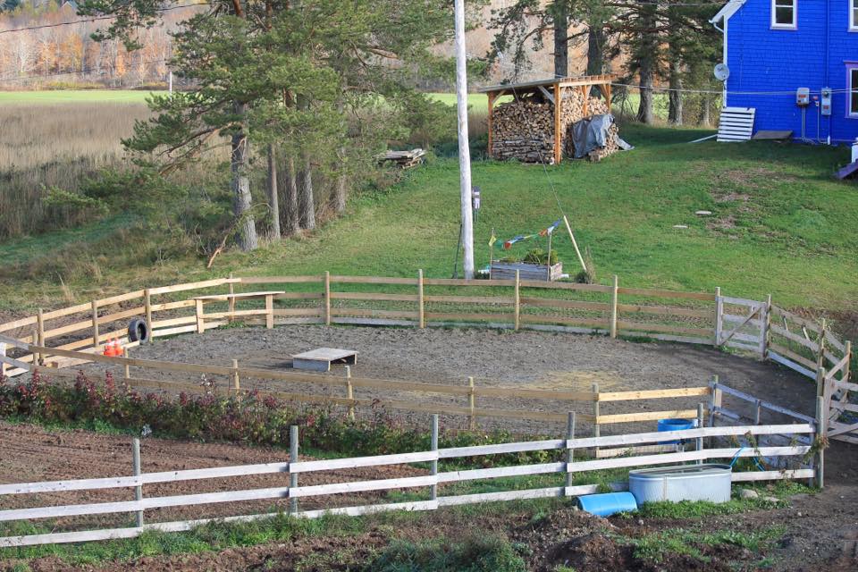 Equine Solace | 3925 E River West Side Rd, Eureka, NS B0K 1B0, Canada | Phone: (902) 923-2008