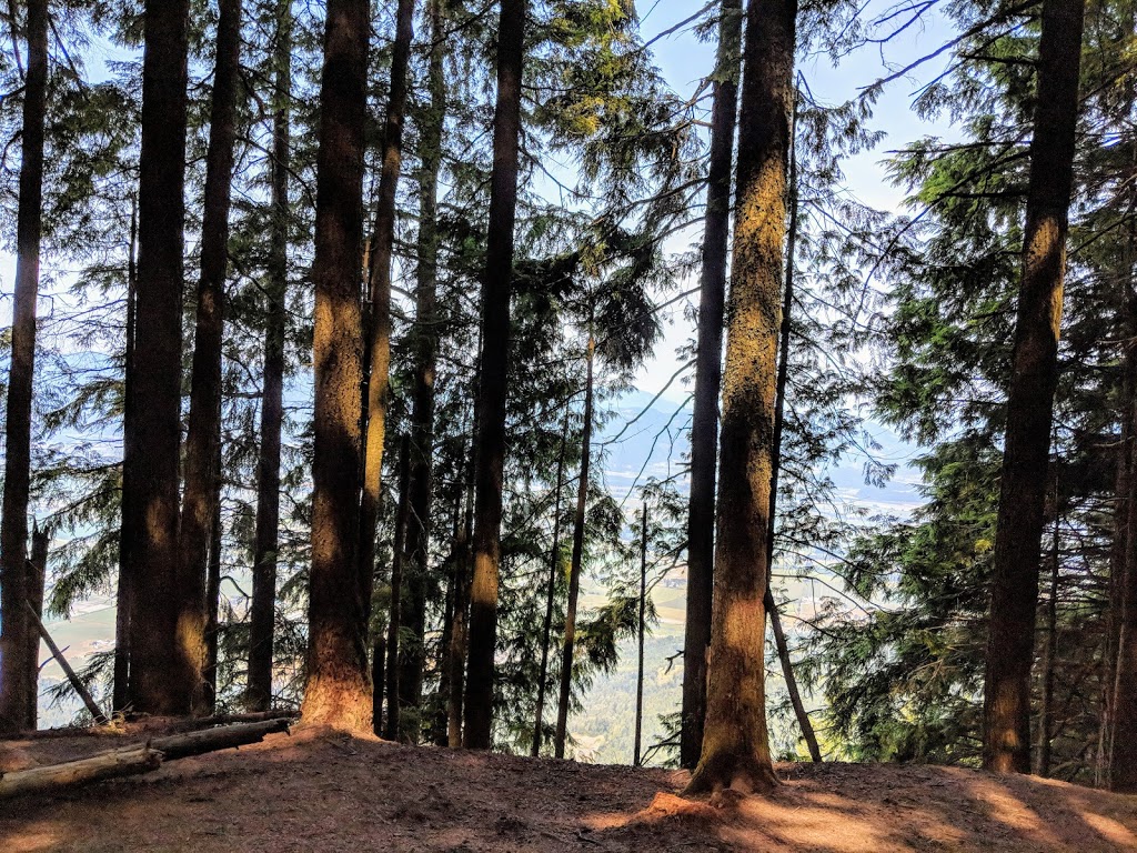 Elk Mountain Trailhead | 50311-50285 Elk View Rd, Chilliwack, BC V4Z 1A5, Canada