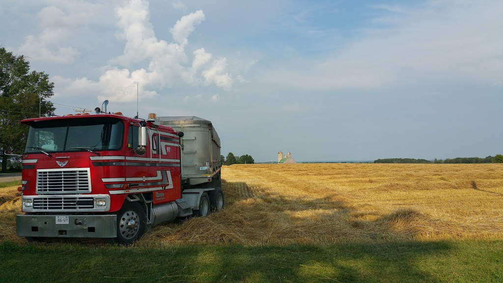 Reesor Elevators - Port Perry | 1256 Scugog Line 6, Port Perry, ON L9L 1B5, Canada | Phone: (905) 985-7007