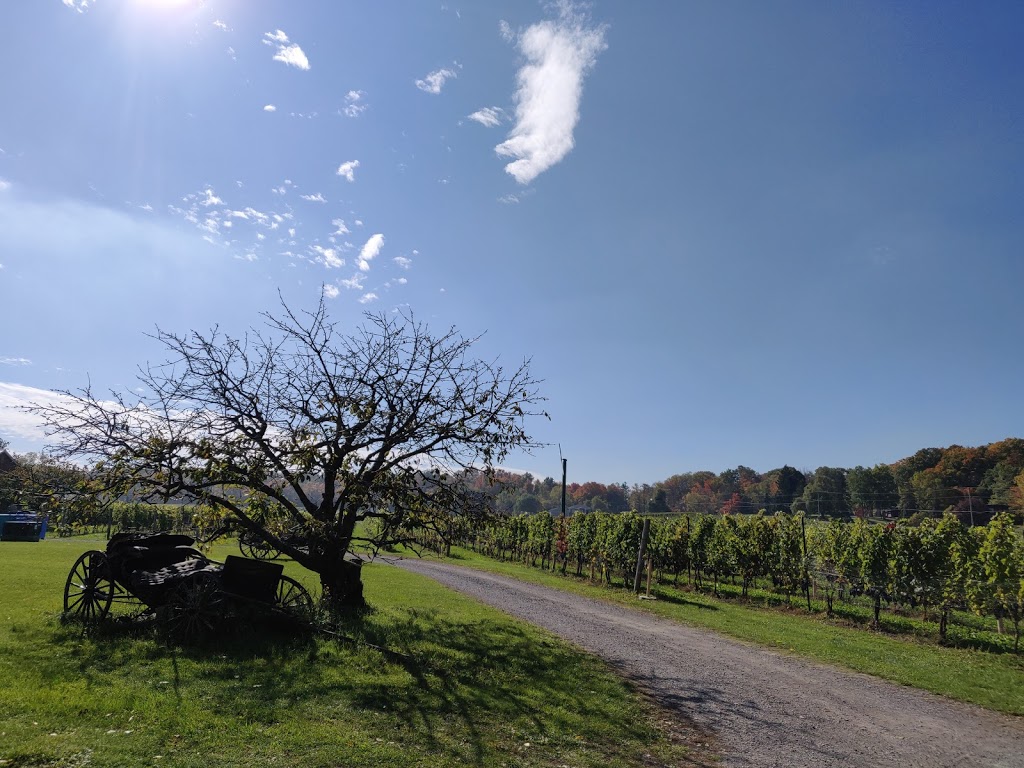 Organized Crime Winery | 4043 Mountainview Rd, Beamsville, ON L0R 1B2, Canada | Phone: (905) 563-9802