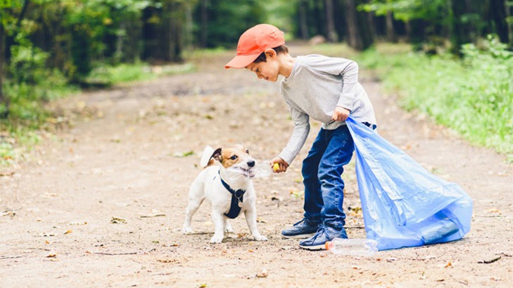 Healthy Select Pet Food | 367 Golf Club Rd, Binbrook, ON L0R 1P0, Canada | Phone: (905) 581-4729