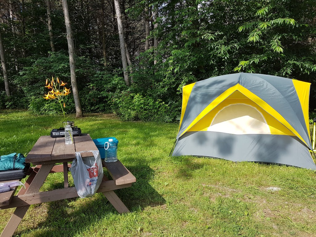 Camping Plage Des Sables INC. | 1450 route 116 Ouest, Princeville, QC G6L 4K7, Canada | Phone: (819) 364-5769