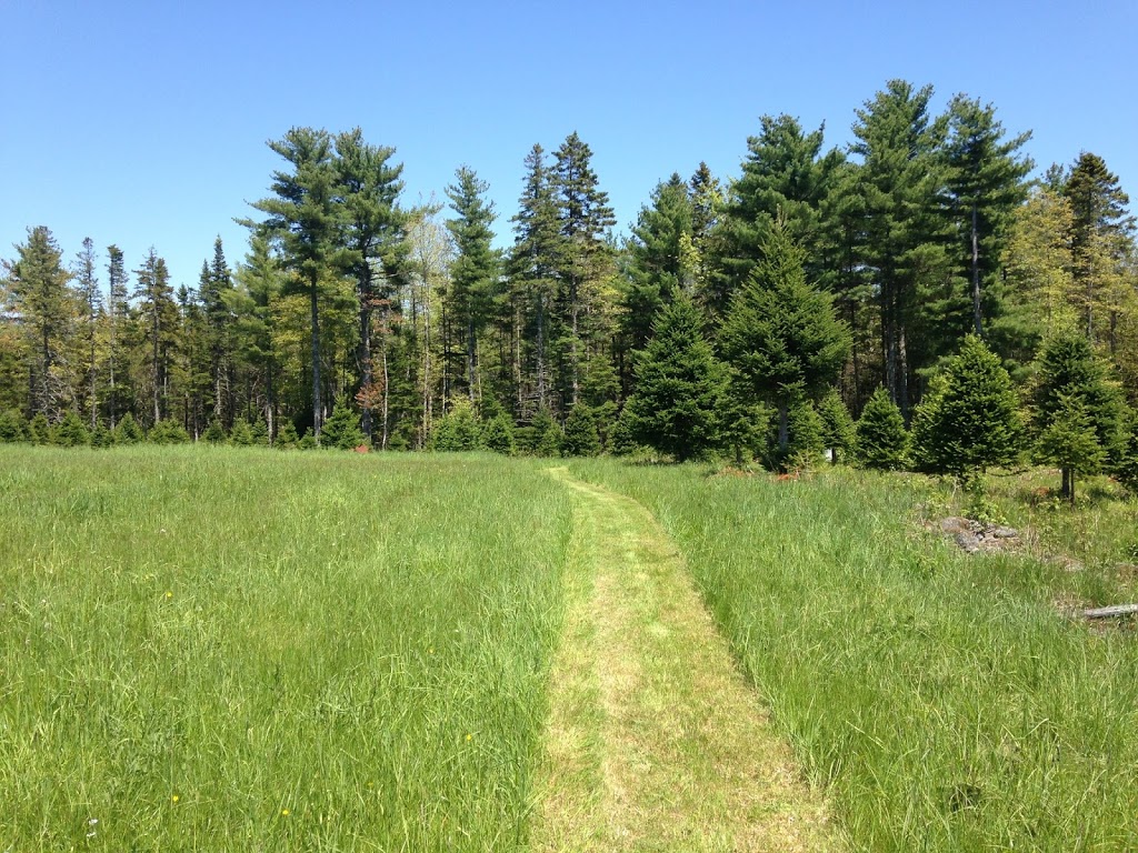 Newbury Hill Farm | 700 Farmington Rd, Barss Corner, NS B0R 1A0, Canada | Phone: (902) 523-2892