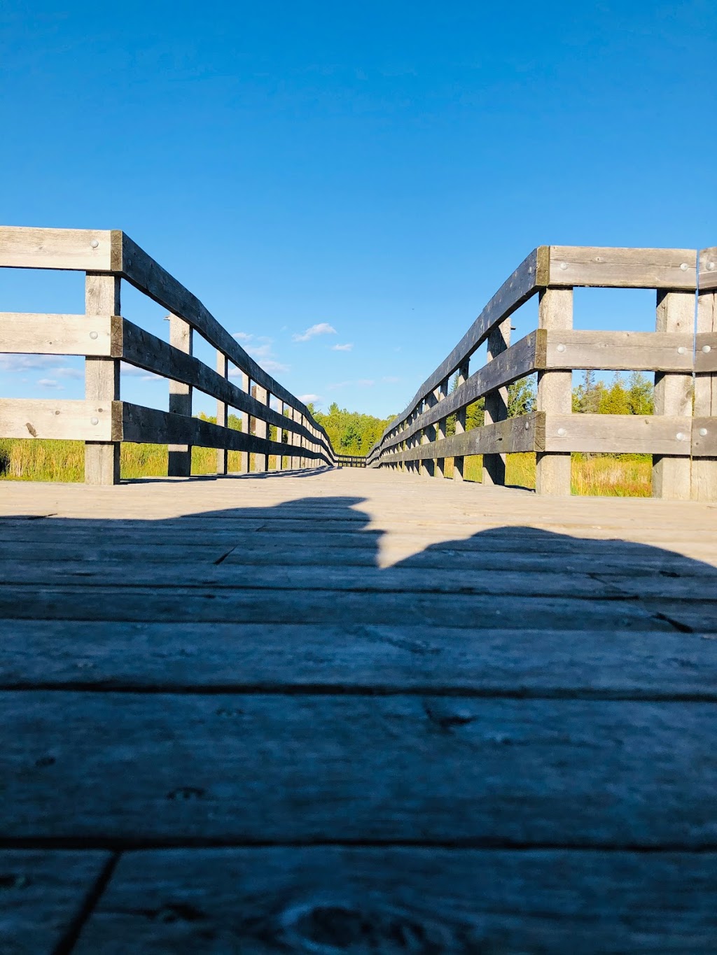 Frink Conservation Area | 381 Thrasher Rd, Plainfield, ON K0K 2V0, Canada | Phone: (613) 968-3434