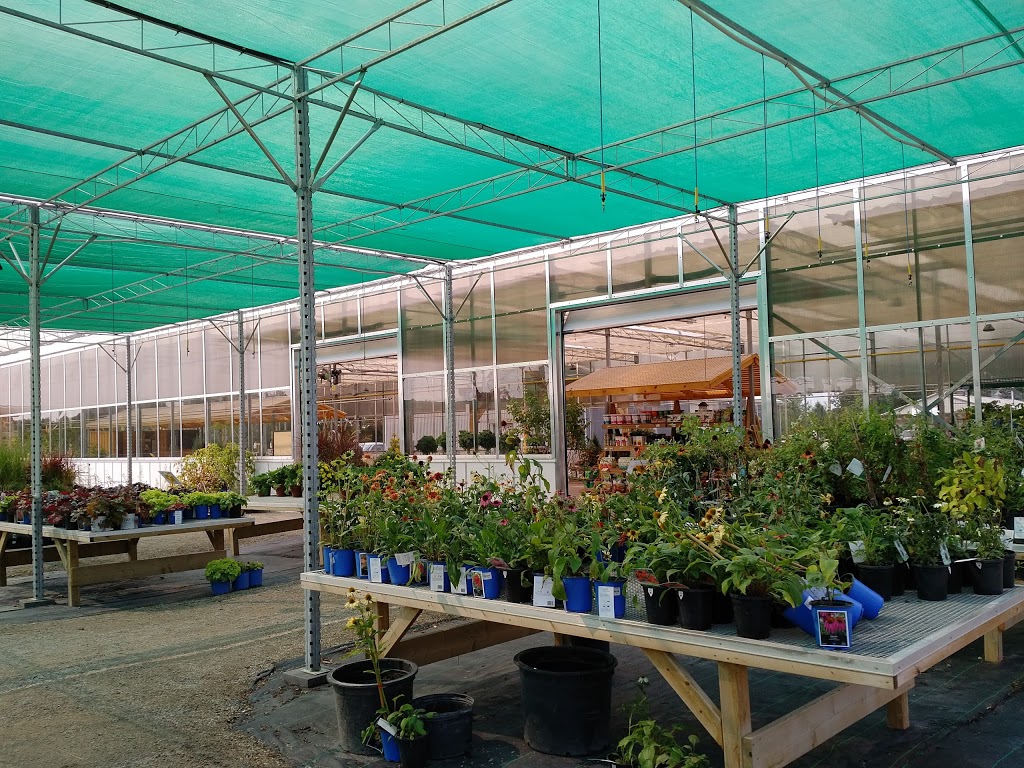 Baseline Nursery and Garden Centre | 9070 Elviage Dr, London, ON N6K 4N5, Canada | Phone: (519) 657-1265