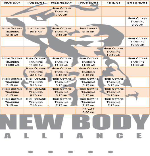 New Body Alliance | gym | 5544 Hastings St, Burnaby, BC V5B 1R3, Canada | 6047889023 OR +1 604-788-9023