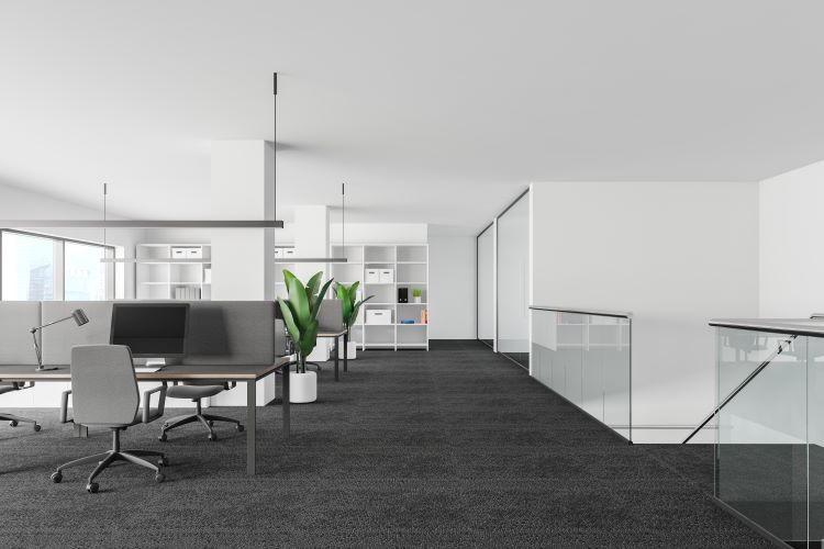 Calgary Carpet Cleaners | 76 Cornerstone Passage NE, Calgary, AB T3N 0Y5, Canada | Phone: (587) 604-9415