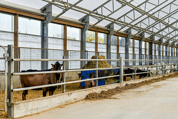 Fabric Building Covers International | 688 Josephine St N, Wingham, ON N0G 2W0, Canada | Phone: (844) 922-6837