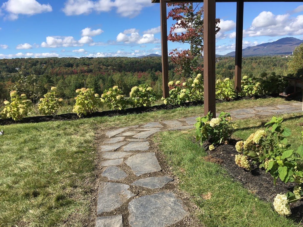 Andrée Fortin Psychologue | 459 Rue Rolland-Dion, Magog, QC J1X 7T5, Canada | Phone: (819) 679-5050