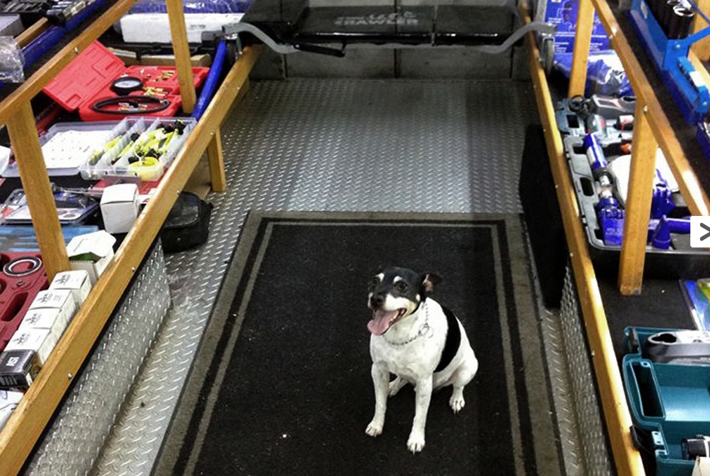 Master Auto Tech | 3709 Bennett Dr, Bellingham, WA 98225, USA | Phone: (360) 733-3043