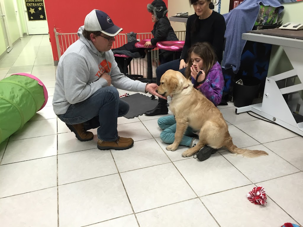 For The Love of Paws Pet Service | 9130 23 Ave NW, Edmonton, AB T6N 1H9, Canada | Phone: (587) 991-3647