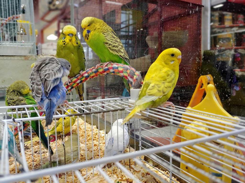 Petland | 130 Country Village Rd NE #323, Calgary, AB T3K 5Z2, Canada | Phone: (403) 226-4045