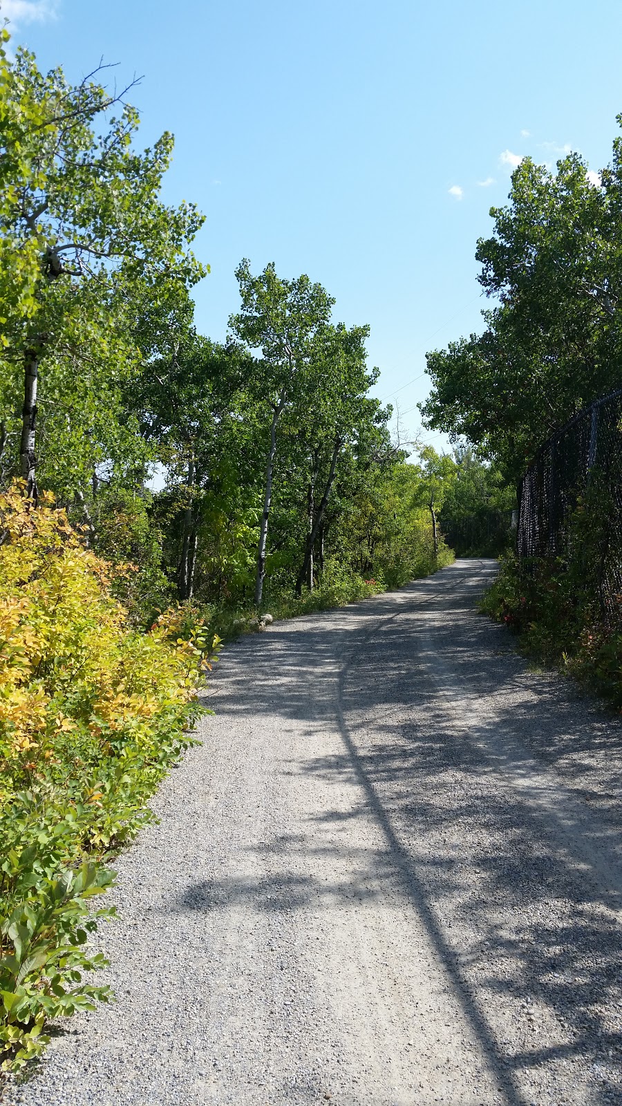 Quarry Road Trail ( east entrance) | Shaganappi, Calgary, AB T3C 0K6, Canada