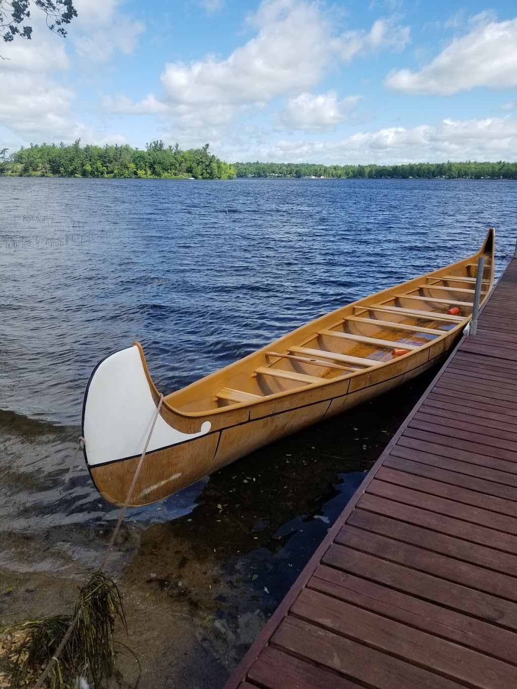 Camp Quin-mo-lac | 336 Franks Rd, Tweed, ON K0K 3J0, Canada | Phone: (613) 473-2877