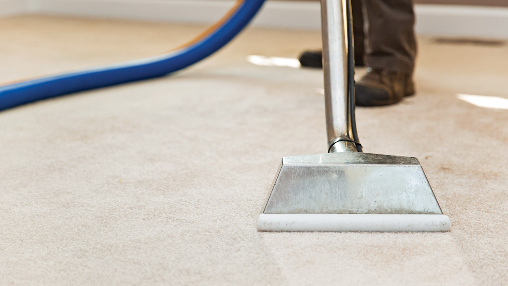 Absolute Carpet Care | laundry | 6222 Rimer Rd, Vernon, BC V1B 3T7, Canada | 2503517888 OR +1 250-351-7888