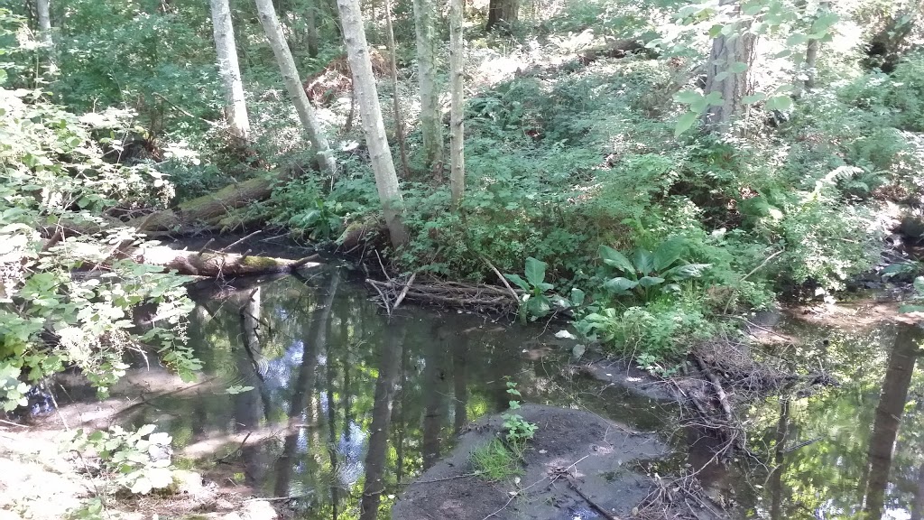 Rithets Bog Park | Saanich, BC V8X 5G6, Canada