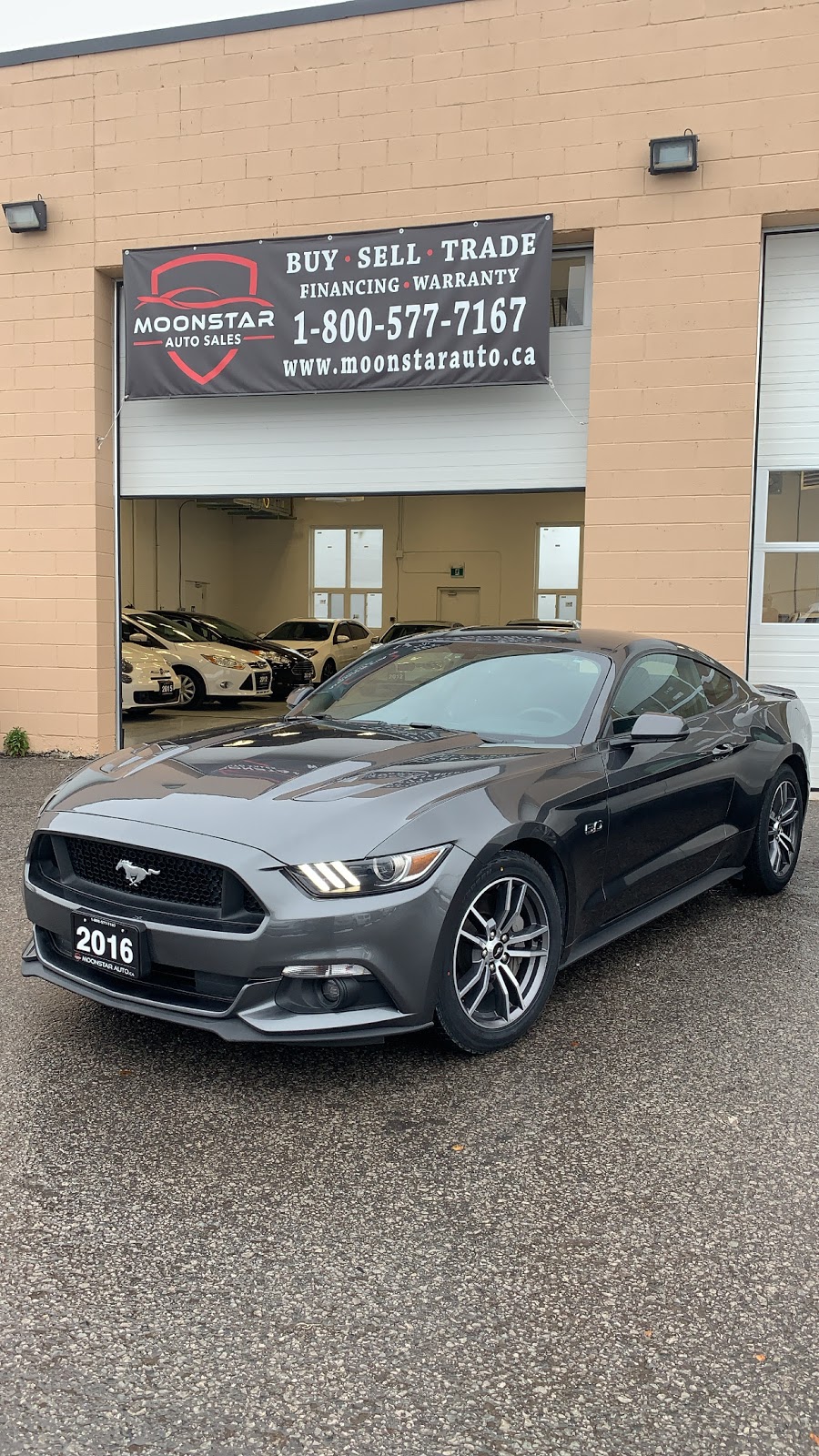 Moonstar Auto Sales | 730 Warden Ave., Scarborough, ON M1L 4A1, Canada | Phone: (800) 577-7167