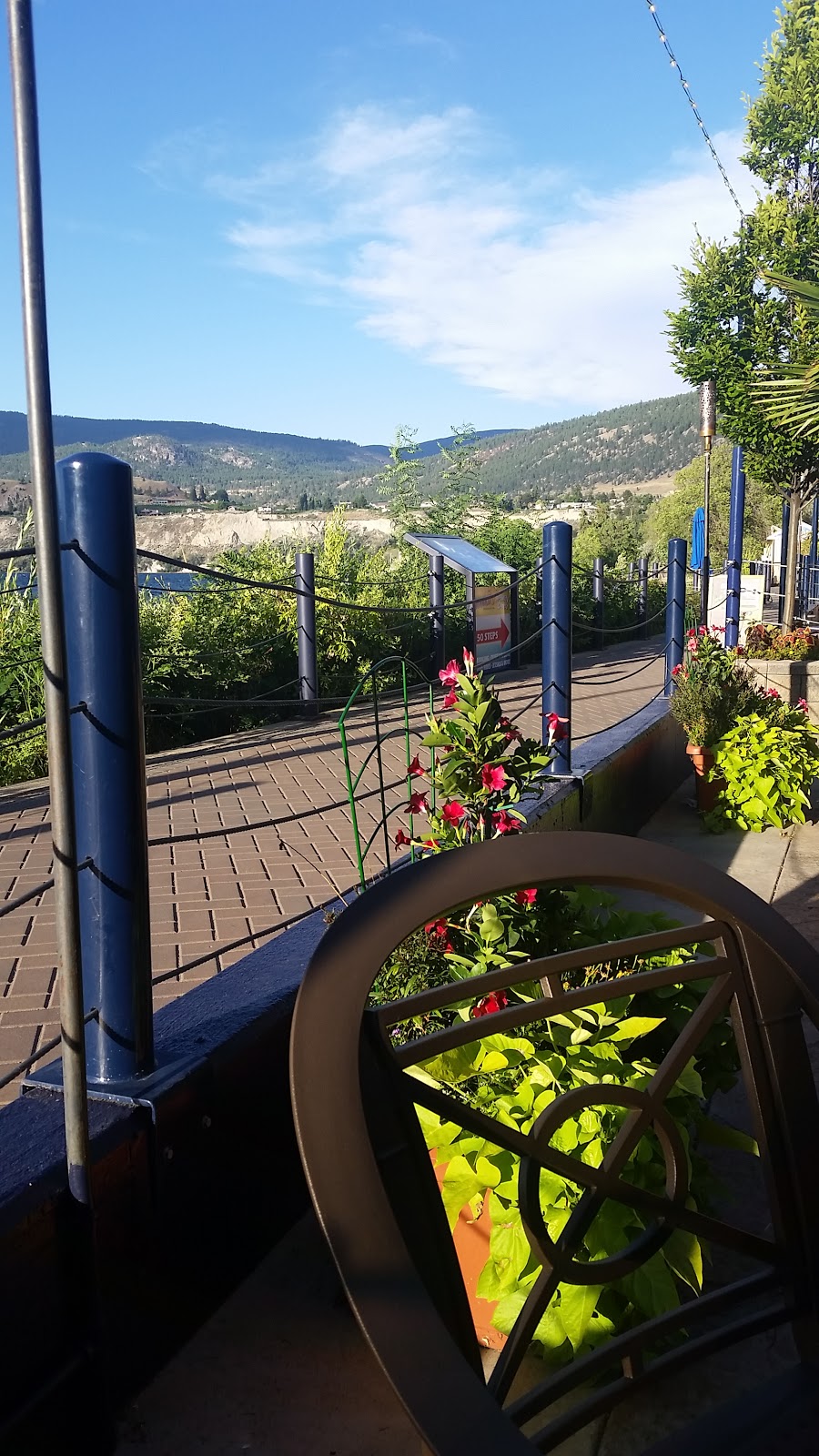 Bufflehead Cappuccino Bar | 21 Lakeshore Dr W #1A, Penticton, BC V2A 7M5, Canada | Phone: (250) 493-9768