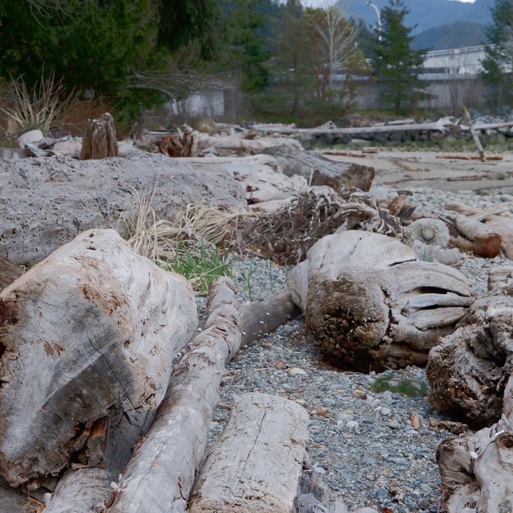 Camp Sunrise - The Salvation Army | 1377 Burns Rd, Gibsons, BC V0N 1V1, Canada | Phone: (604) 886-7232