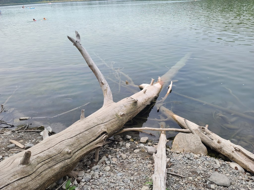 Kikomun Creek Provincial Park | East Kootenay B, BC V0B 1T0, Canada | Phone: (250) 422-3003