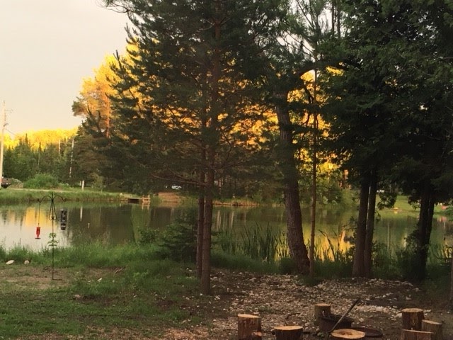 Cedar Pines RV Park | 403541, Grey County Rd 4, Priceville, ON N0C 1K0, Canada | Phone: (289) 339-0788