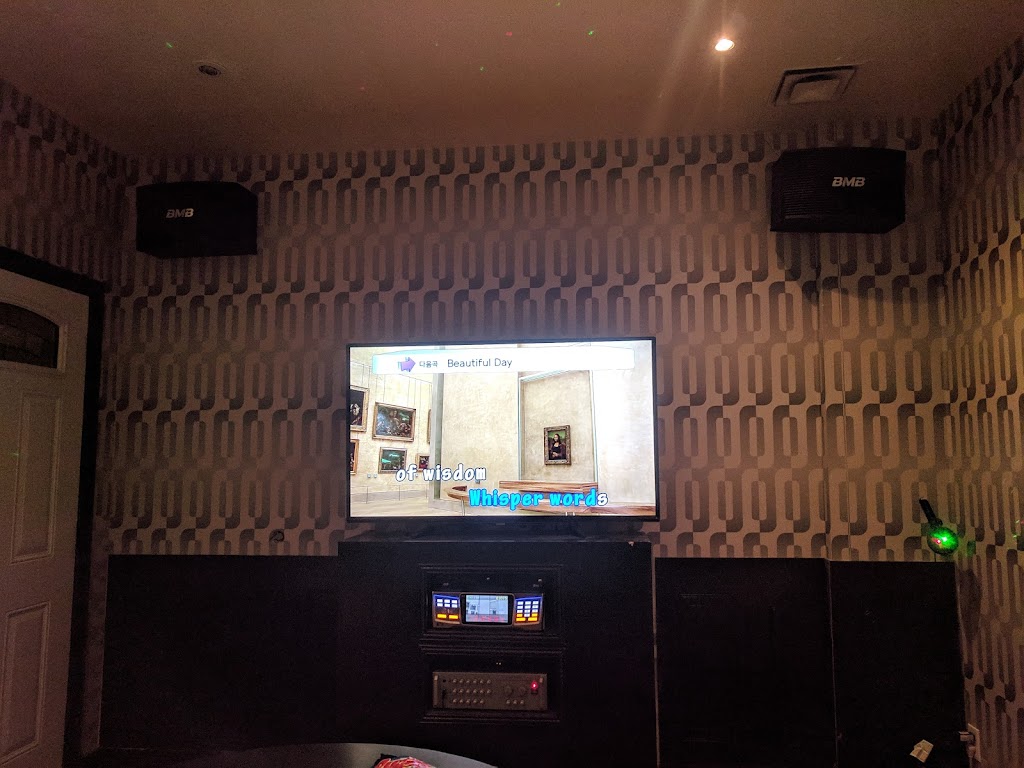 VIP KARAOKE BAR INC | 610 Somerset St W, Ottawa, ON K1R 5K4, Canada | Phone: (613) 680-8847
