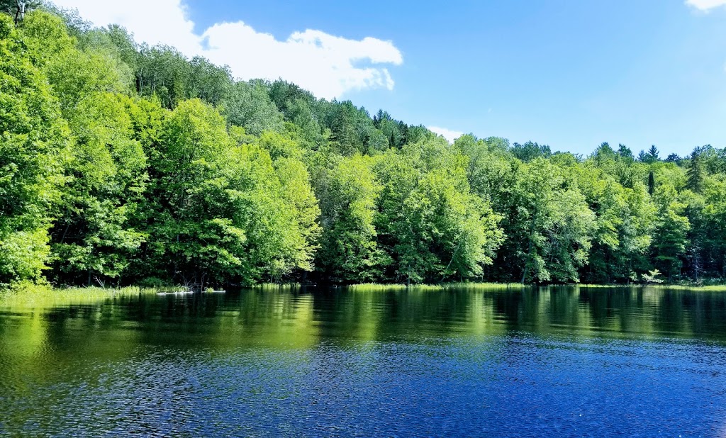Pourvoirie Laurentides Chalets chez Gaston | 61 CH Du Lac Du Cerf, Notre-Dame-de-Pontmain, QC J0W 1S0, Canada | Phone: (819) 597-2460