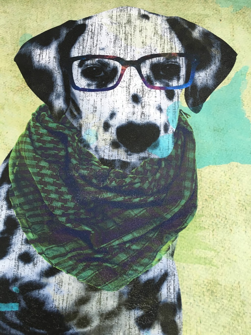 Oracle Eyewear | 487 Cornwall Road (Longos, Harpers Landing Plaza, Oakville, ON L6J 7S8, Canada | Phone: (905) 337-2396