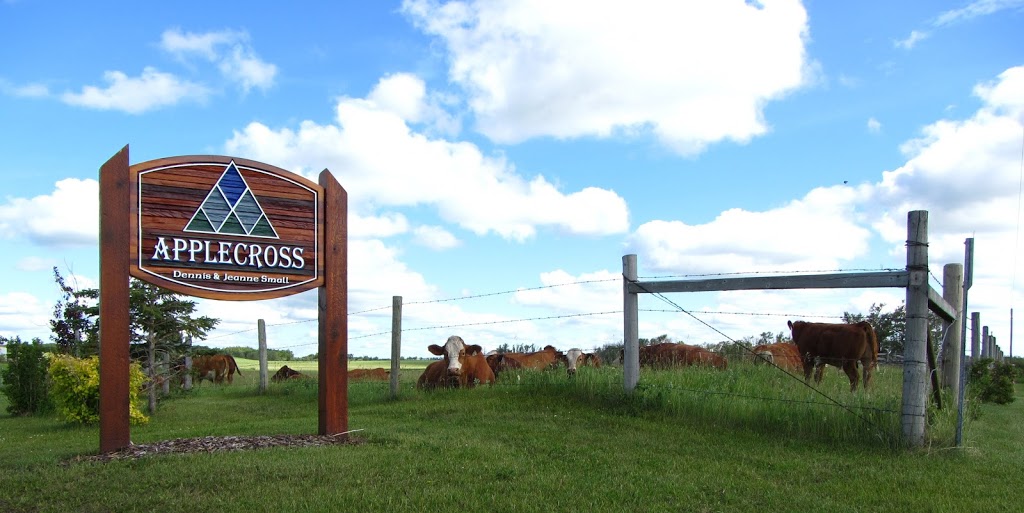 Applecross Cattle - Dennis & Jeanne Small | 36571, Range Rd 21, Red Deer County, AB T4G 0M9, Canada | Phone: (403) 728-3528