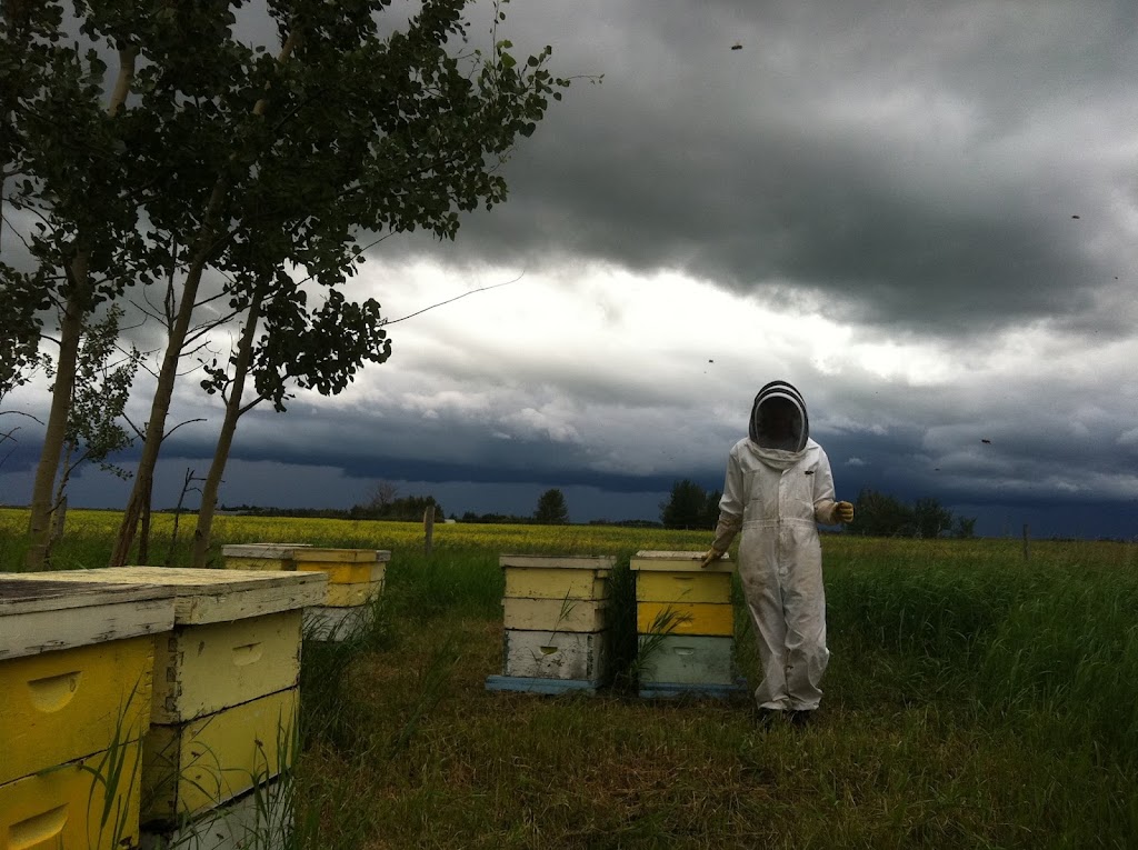 Meadow-Sweet Apiaries | Box 1072, Wabamun, AB T0E 2K0, Canada | Phone: (780) 242-3538