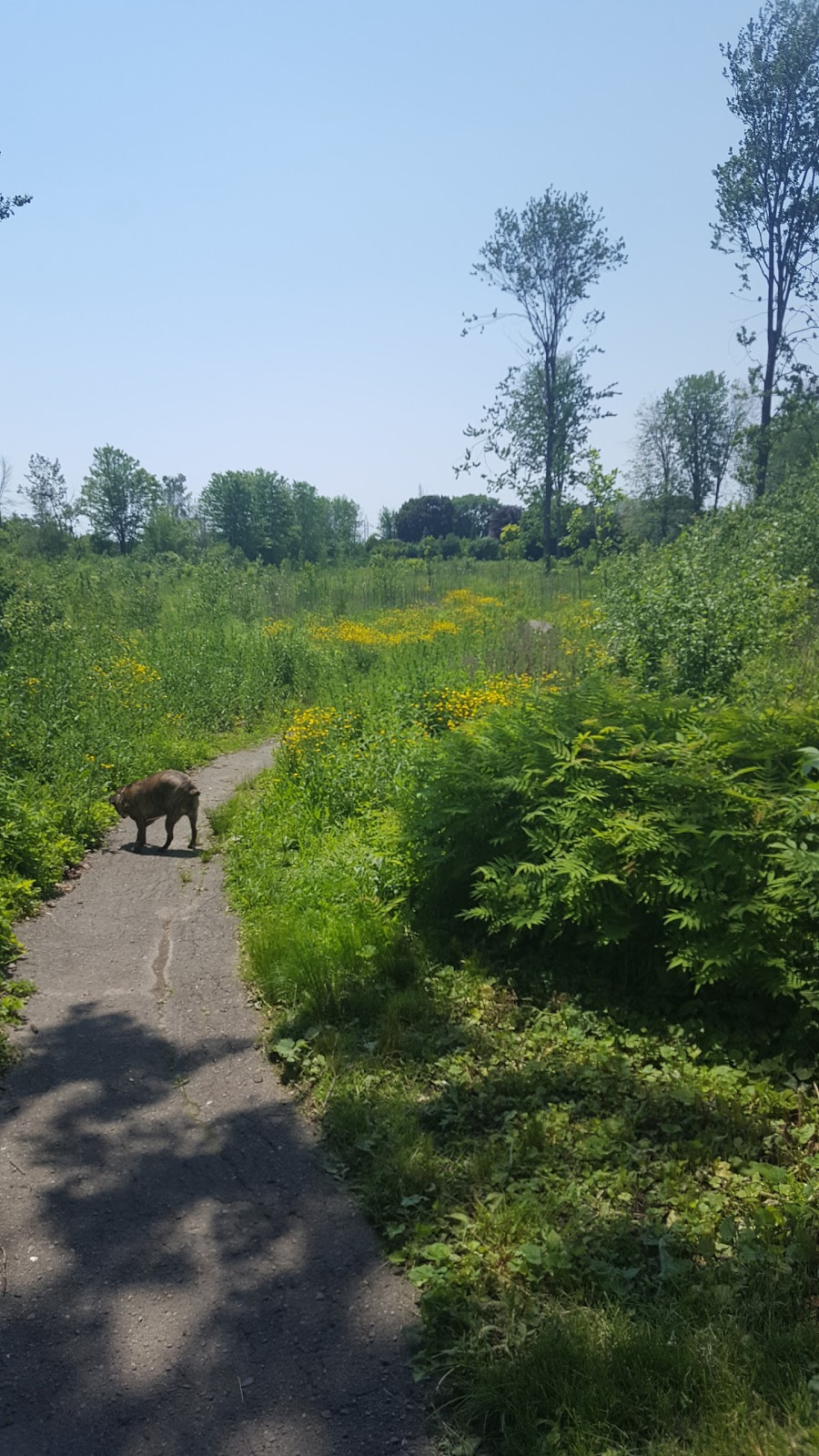 Durham Court Park | 330 Waverly St S, Oshawa, ON L1J 5V6, Canada | Phone: (905) 436-3311