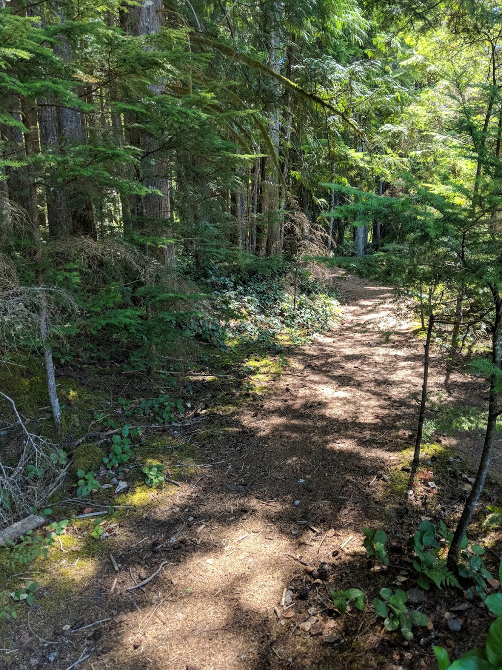 Ray Peters Trail | Squamish, BC V0N 1H0, Canada