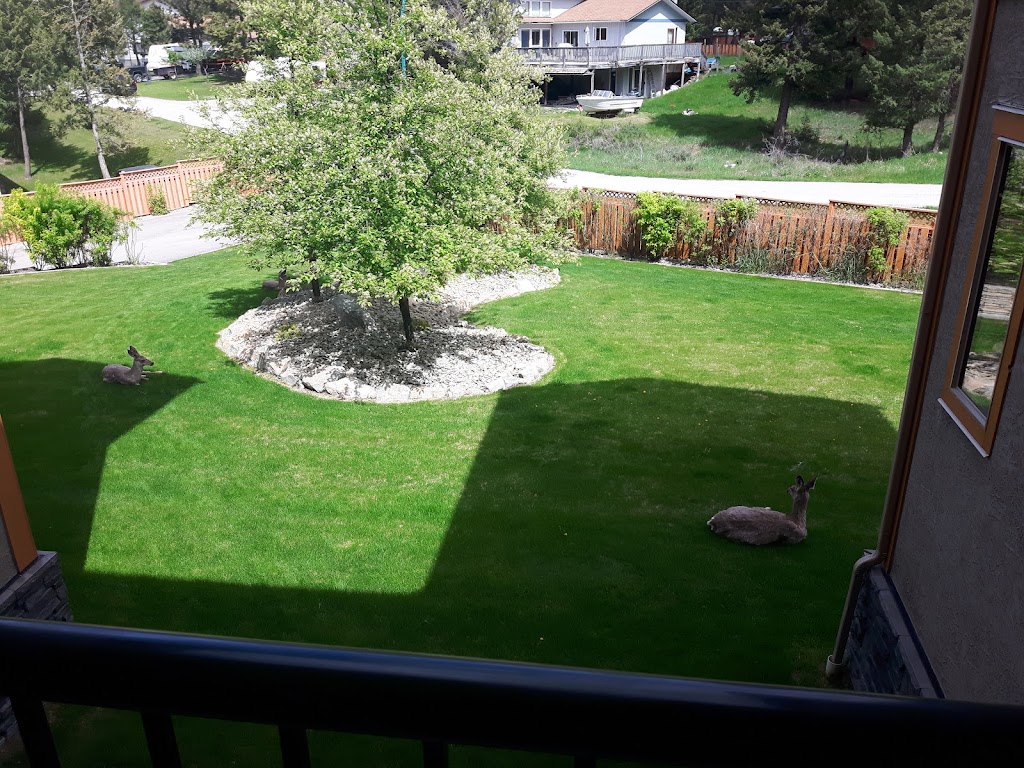 Radium Springs Estates | Springs Dr, Radium Hot Springs, BC V0A 1M0, Canada | Phone: (250) 341-7045
