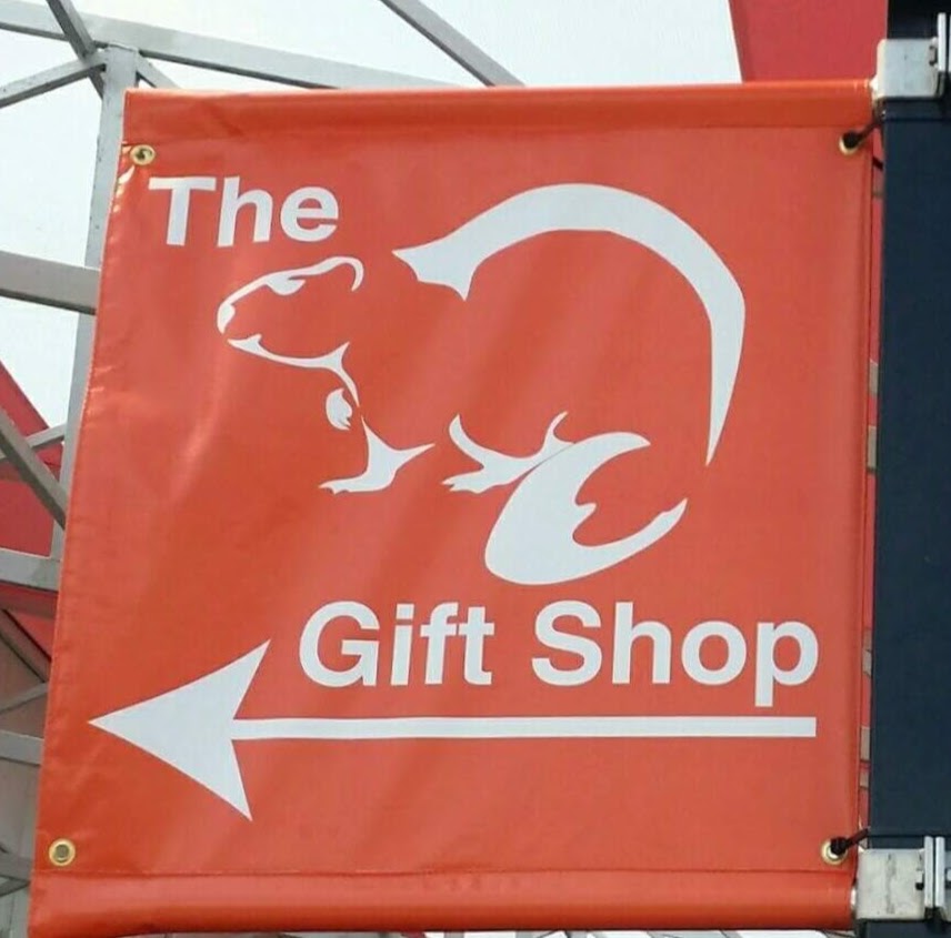 Beaver Gift Shop | 185 Dallas Rd, Victoria, BC V8V 1A1, Canada | Phone: (250) 383-1985