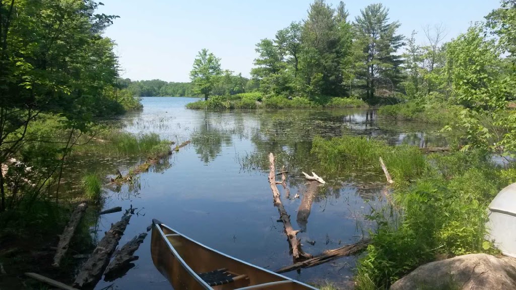 Little Turtle Lake | Coon Lake Rd, Harcourt, ON K0L 3E0, Canada | Phone: (613) 332-3940
