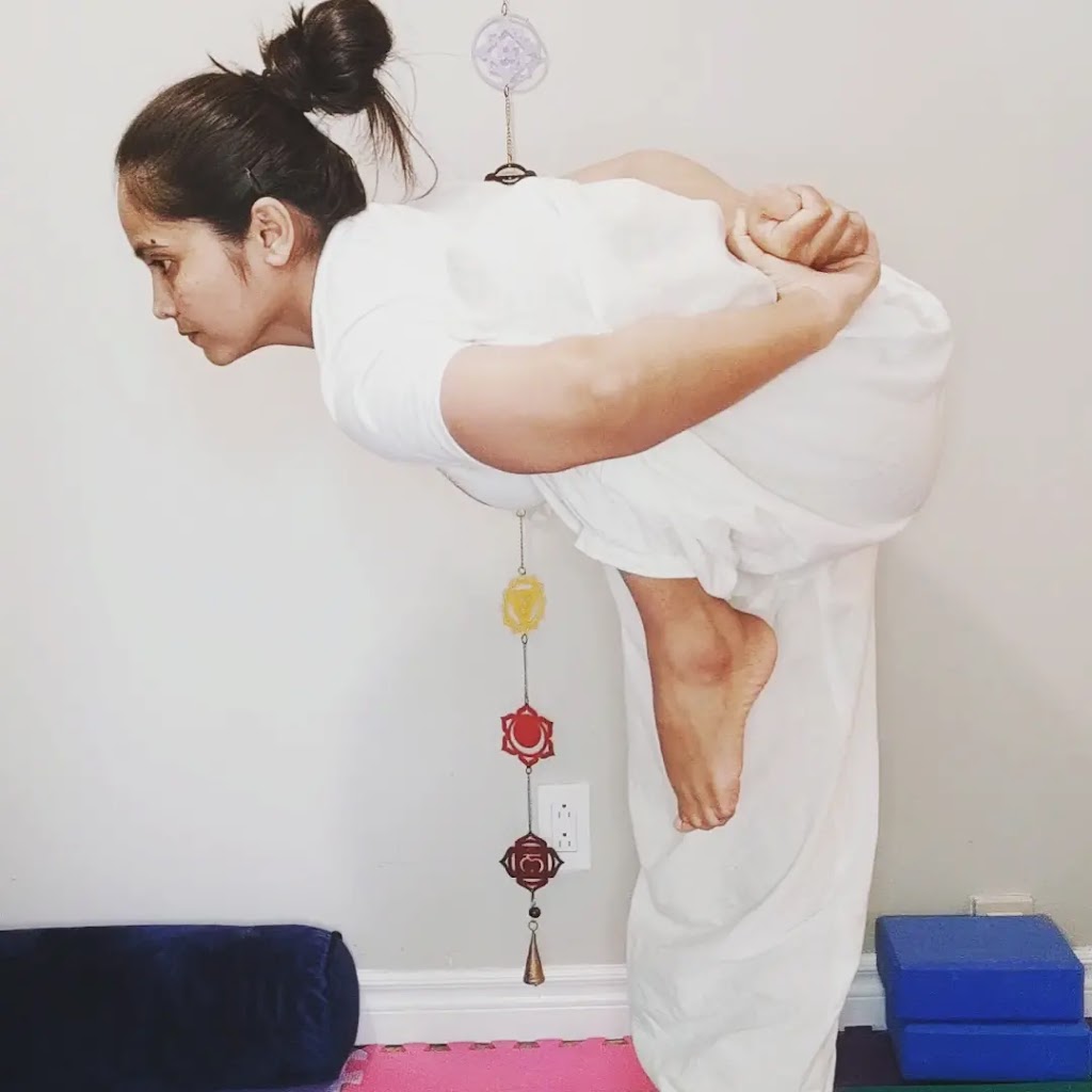 Vir Yoga and Vedic Diet | 224 Rogers St, Peterborough, ON K9H 1W3, Canada | Phone: (249) 688-0204