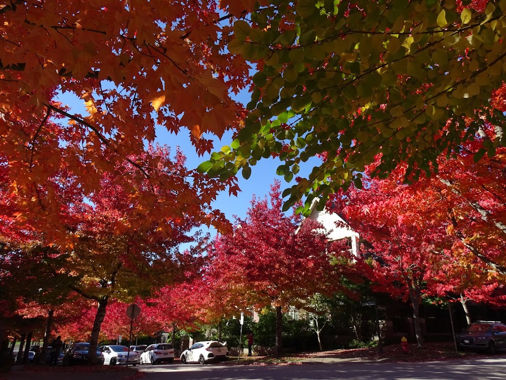 Old Barn Community Centre | 6308 Thunderbird Blvd, Vancouver, BC V6T 1Z4, Canada | Phone: (604) 827-4469
