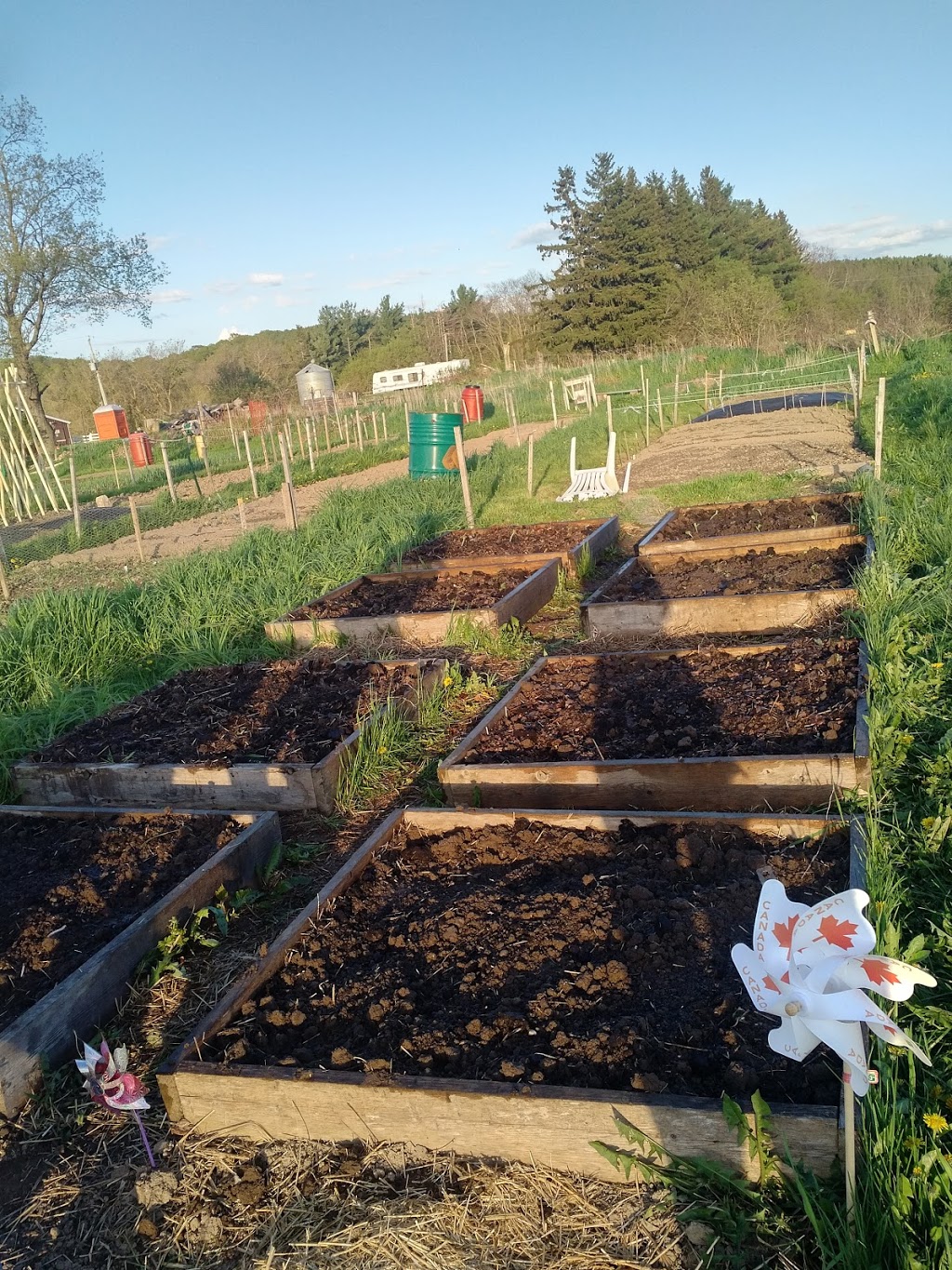 Albion Hills Community Farm | 16555 Humber Station Rd, Caledon East, ON L7E 3A5, Canada | Phone: (647) 981-6281