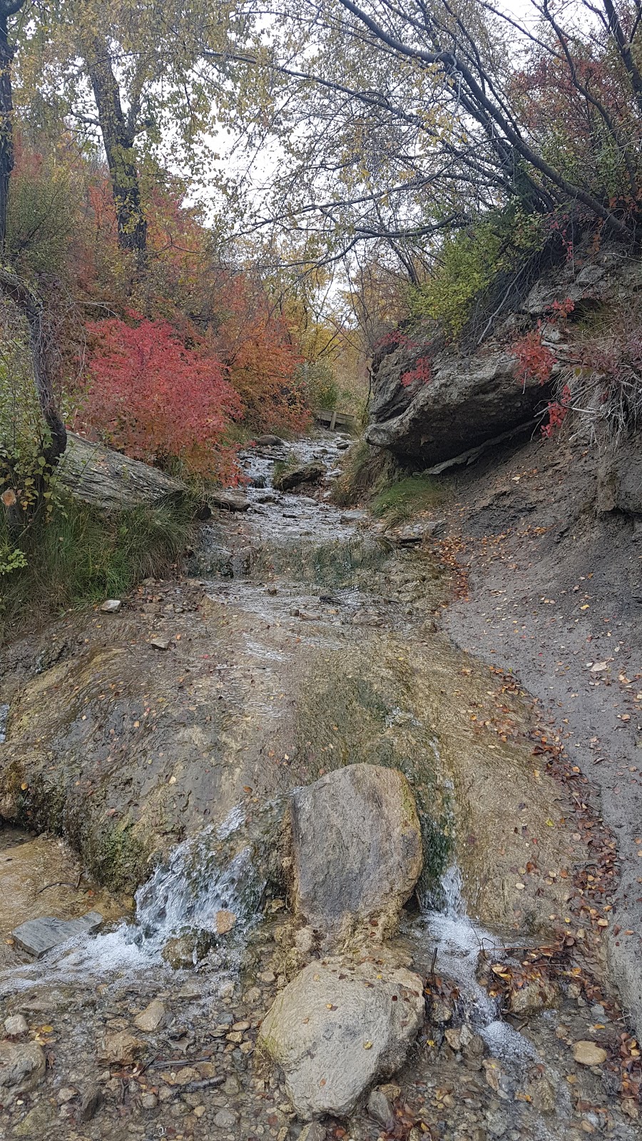 Silver throne park | Silver Springs, Calgary, AB T3B 3P5, Canada