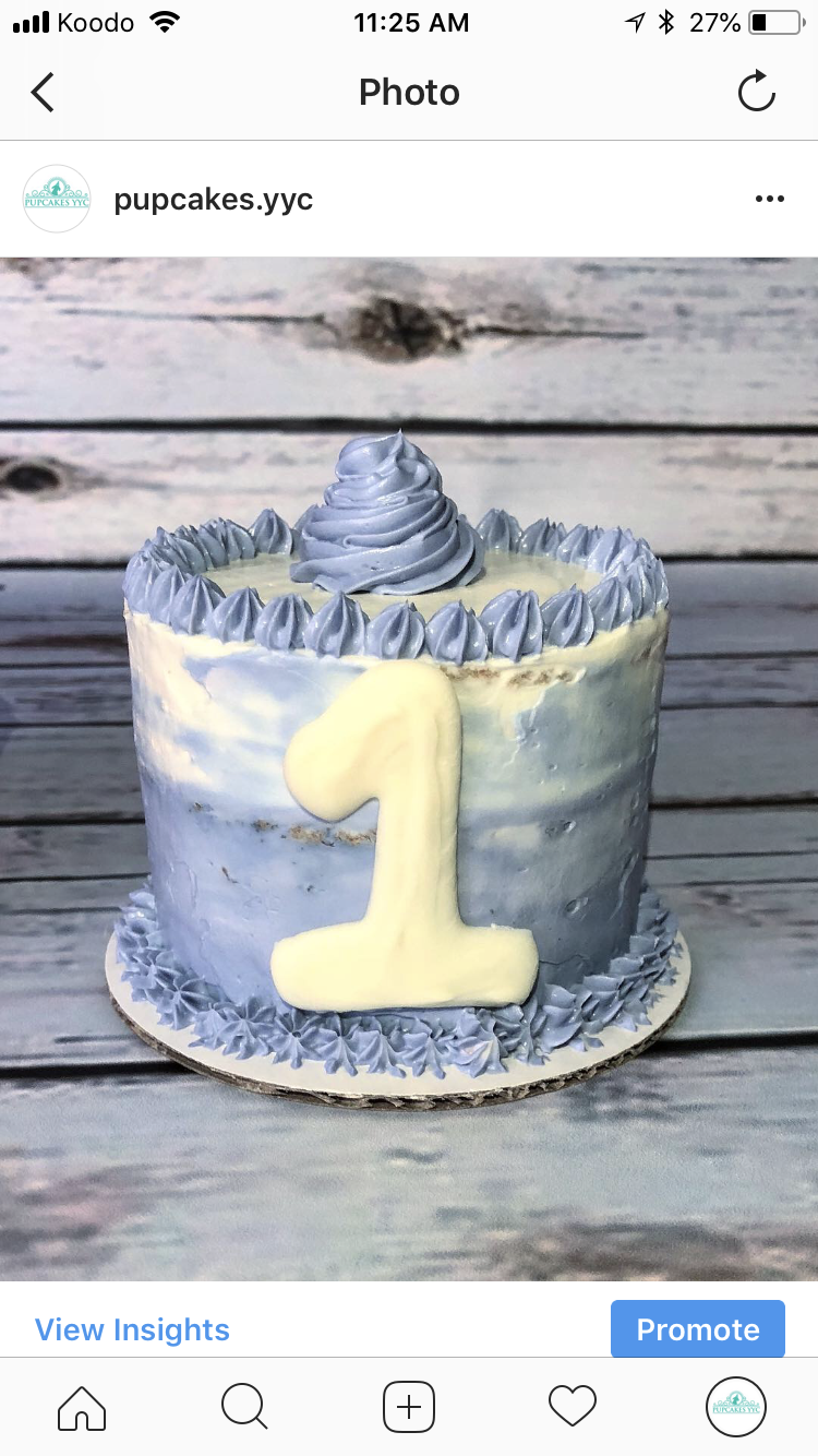 Pupcakes YYC | 511 Northmount Dr NW, Calgary, AB T2K 1J3, Canada | Phone: (587) 578-2384