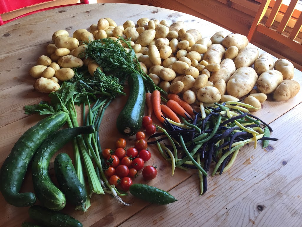 Coastal Urban Gardens | 8305 Rainbow Dr, Whistler, BC V8E 0G1, Canada | Phone: (604) 966-7384