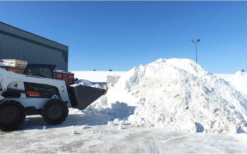 Land To Snow | 6815 22 Ave NW, Edmonton, AB T6K 2H5, Canada | Phone: (780) 807-4217
