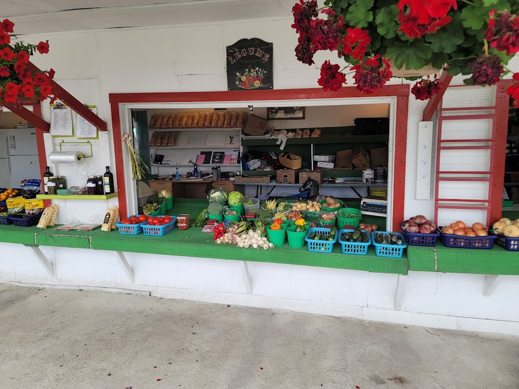 Aux Fruits du Soleil - Kiosque Fruits et Légumes | 244 QC-341, Saint-Jacques, QC J0K 2R0, Canada | Phone: (450) 839-9107