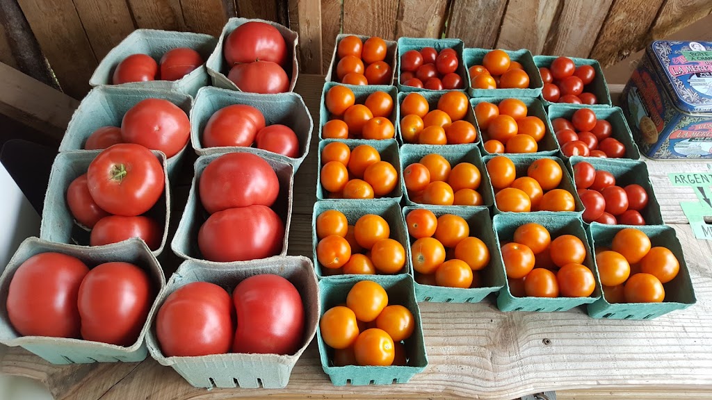 Microferme des Petits Pouceux | 692 Rte Sainte-Thérèse, Sainte-Hénédine, QC G0S 2R0, Canada | Phone: (418) 945-2042