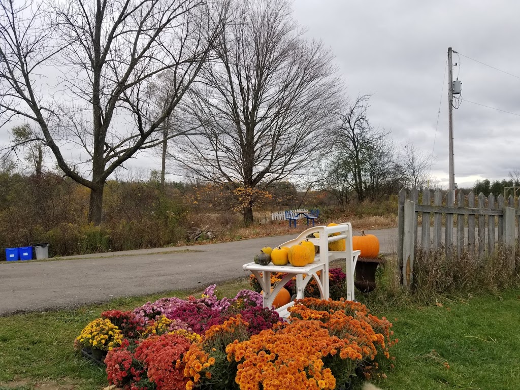 Organic Lees Farm (이씨농장) | 2191 25 Side Rd, Moffat, ON L0P 1J0, Canada | Phone: (416) 909-2766