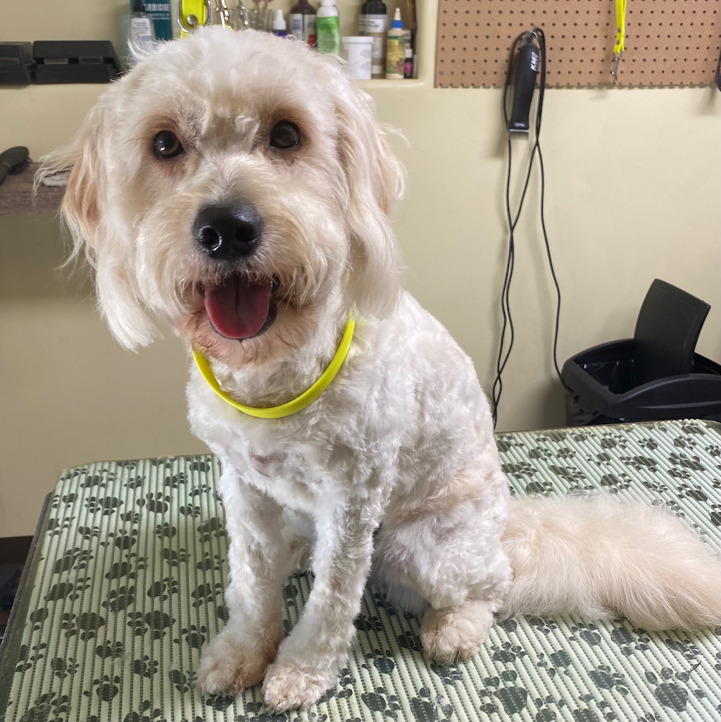 Paws Fur Effects Pet Grooming | 740 Tanner Dr, Kingston, ON K7M 9G7, Canada | Phone: (613) 885-9470